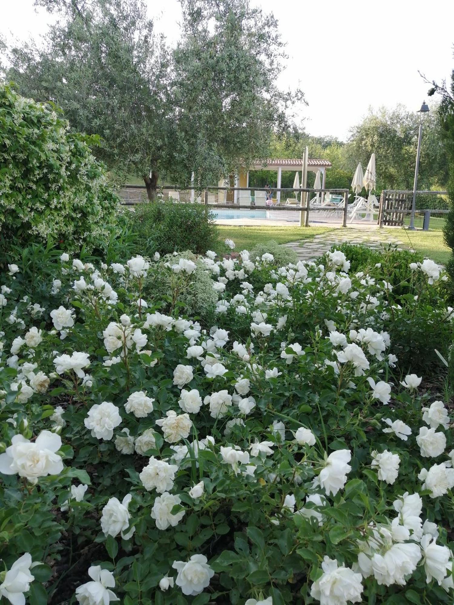 Villa Beatrice Mondavio Esterno foto